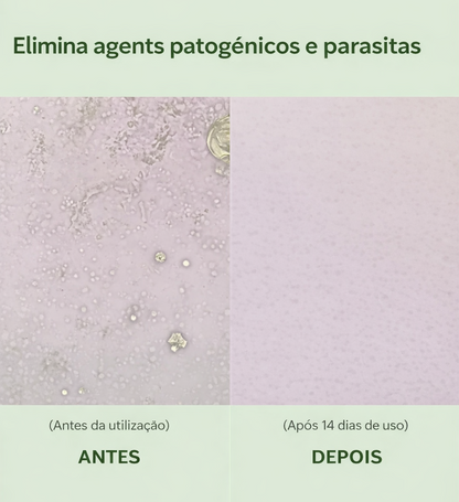 Origamix - Transforma o teu dia com energia inteligente.