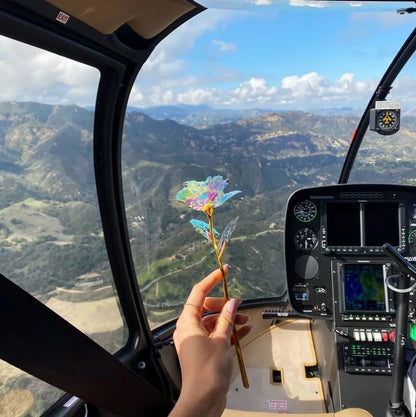 Rosa Galáxia - Compre 1 e Leve 5 de BRINDE - O Presente Perfeito!